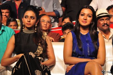 Sarrainodu Movie Blockbuster Function